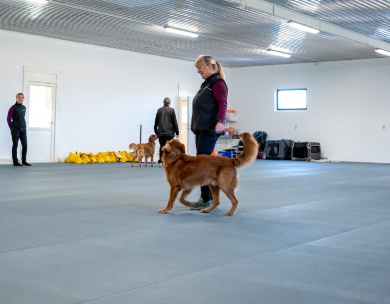 20220211 Lotushallen FotoMartinRimby-016