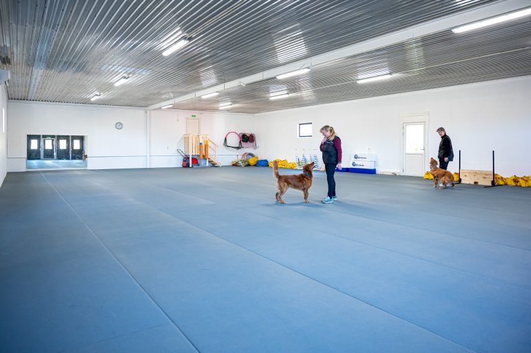 20220211 Lotushallen FotoMartinRimby-017