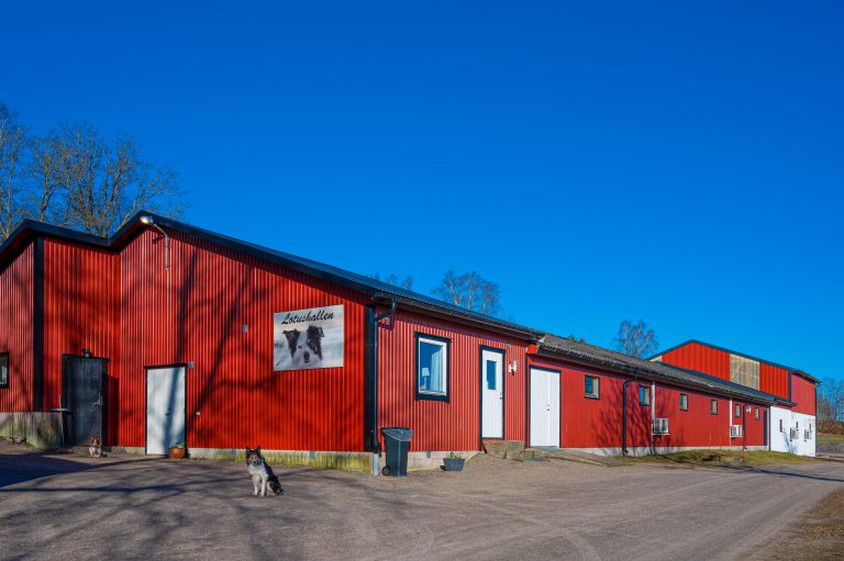 Lotushallen - Grisstall som blev hundträningshall