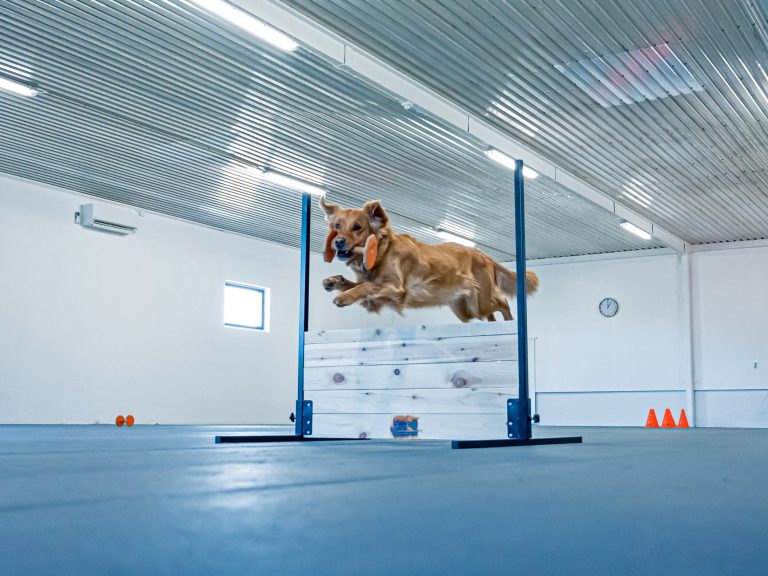 FotoMartinRimby_start1