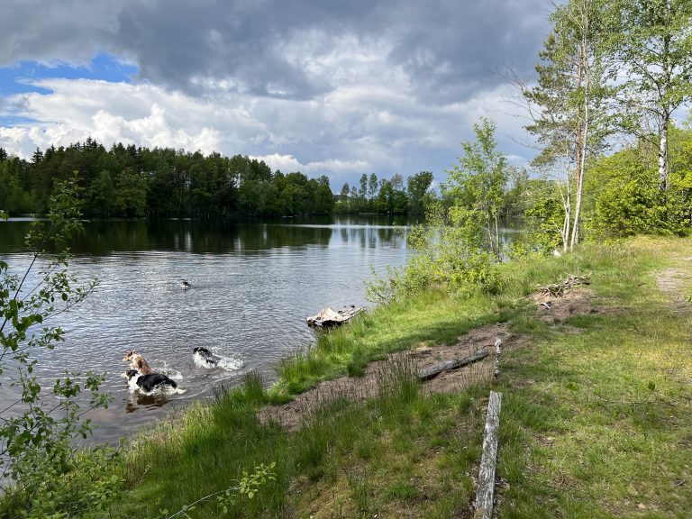 Badvänligt slänt när det är mycket folk vid bryggan