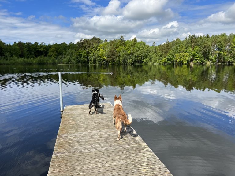Bryggan vid badplatsen